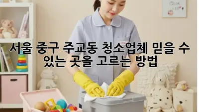 서울 중구 주교동 청소업체, 믿을 수 있는 곳을 고르는 방법